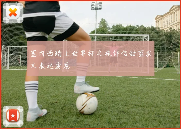 塞内西踏上世界杯之旅伴侣甜蜜发文表达爱意