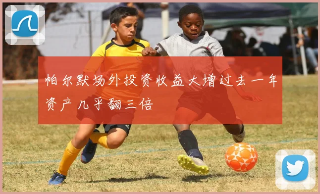 帕尔默场外投资收益大增过去一年资产几乎翻三倍